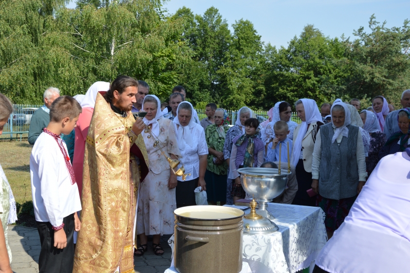 Изображение 001