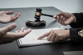 Understanding the Role of Sanctions Lawyers in International Law 1362420410