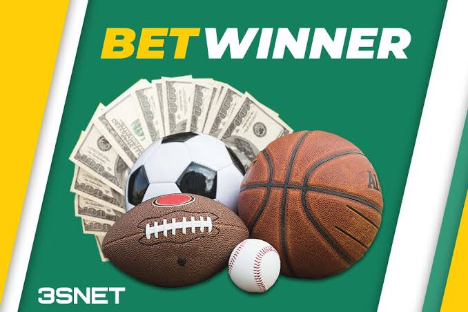 Exploring the BetWinner Platform A Comprehensive Review